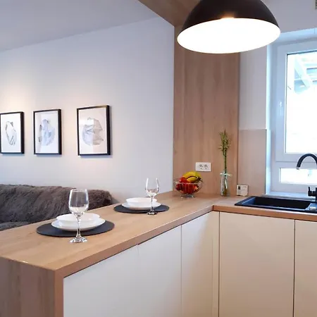 Bright&cozy C1 アパート ブラショフ