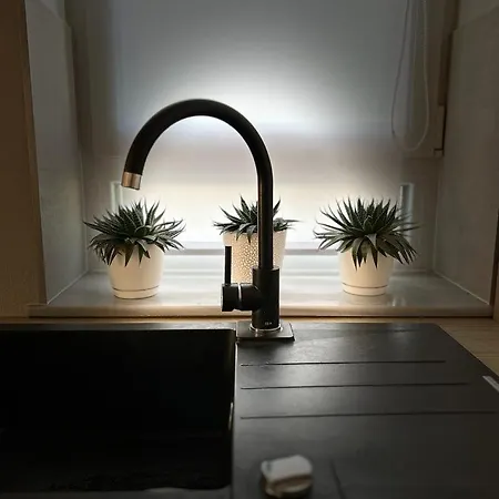 アパート Bright&cozy C1 ブラショフ