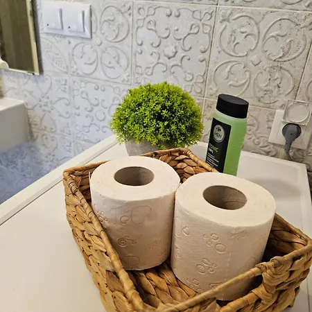 Bright&cozy C1 アパート ブラショフ