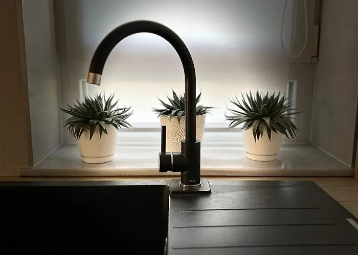 Appartement Bright&cozy C1 Braşov